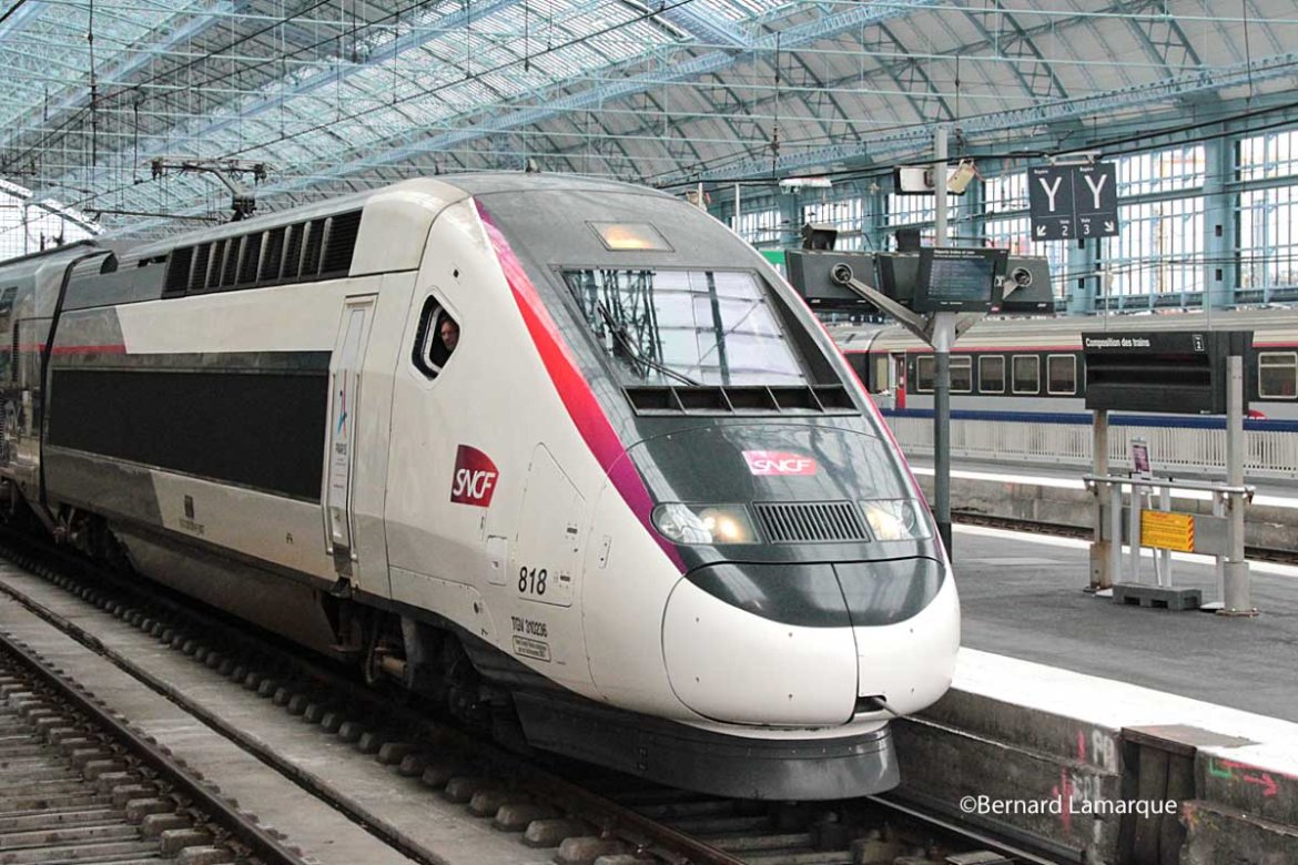 Le Rail sujet brulant ou le train qui divise