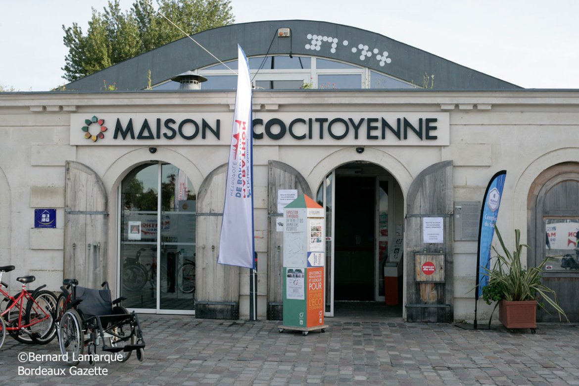 Exposition : les petites bêtes du Compost à la Maison Écocitoyenne