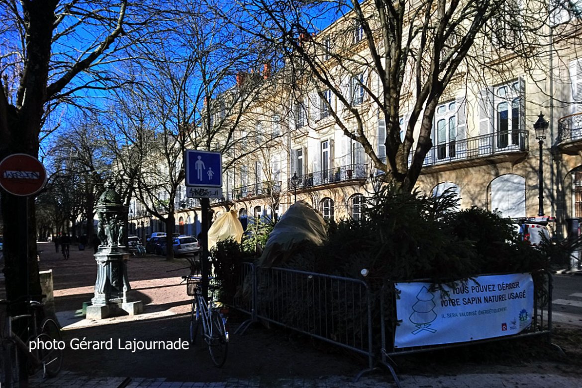 Après les fêtes, Bordeaux collecte les sapins usagés