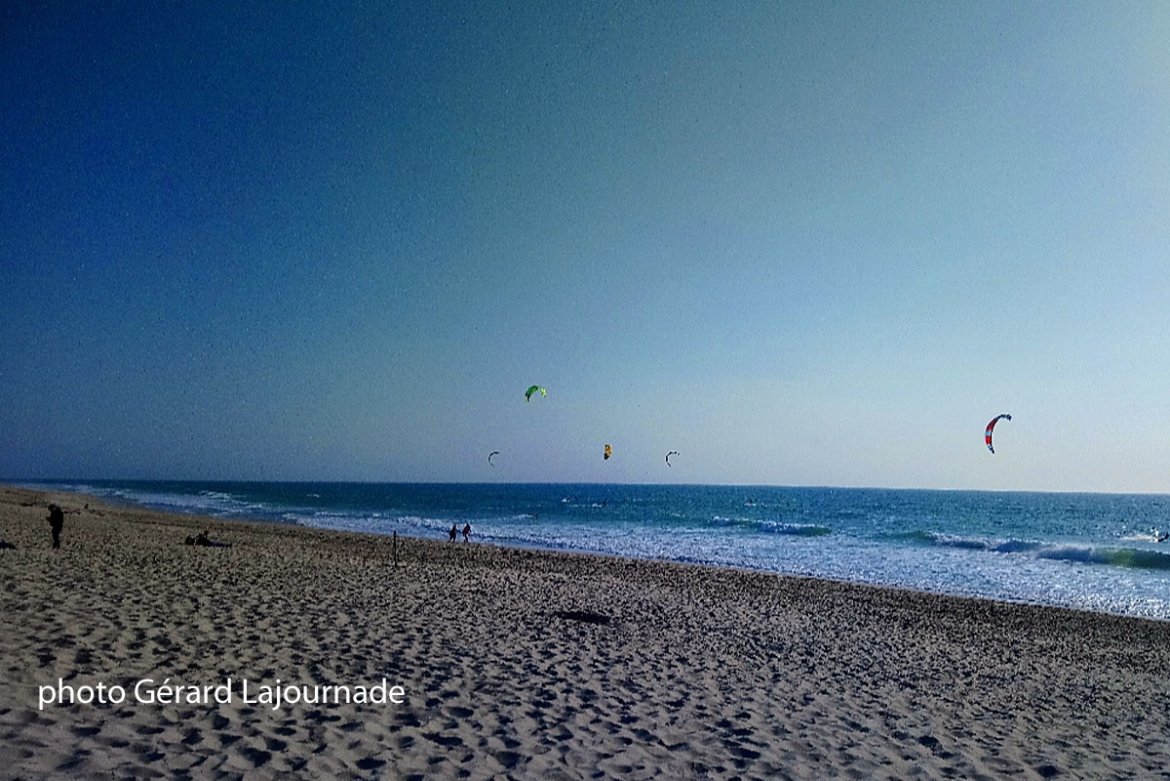 Top 10 des déchets retrouvés à la plage et leurs alternatives