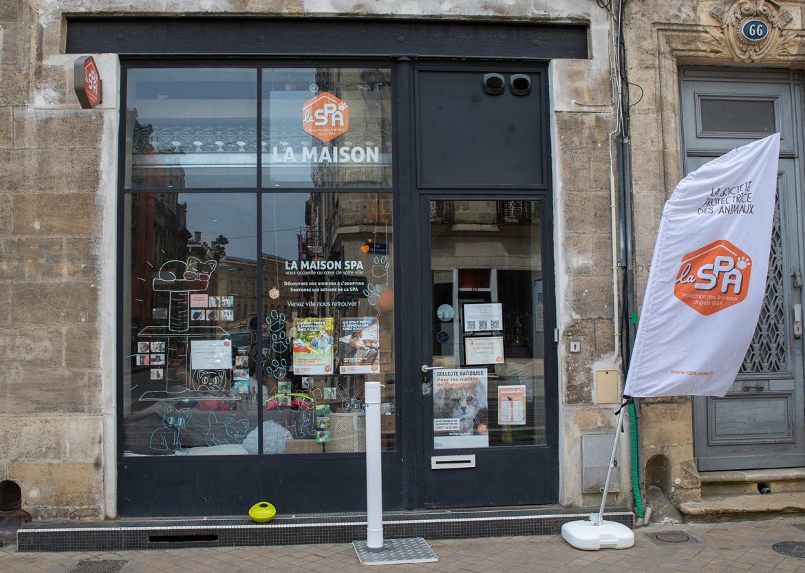 La Maison SPA de Bordeaux sur tous les fronts