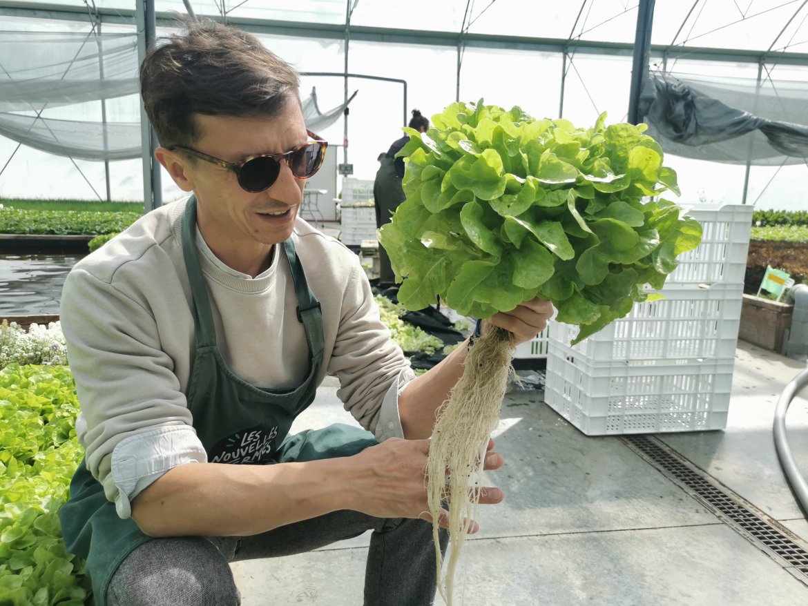 Les Nouvelles Fermes d'aquaponie de Mérignac allient élevage de poissons et culture