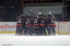 Les Boxers en finale de la ligue Magnus